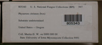 Image Associated With the Occurence